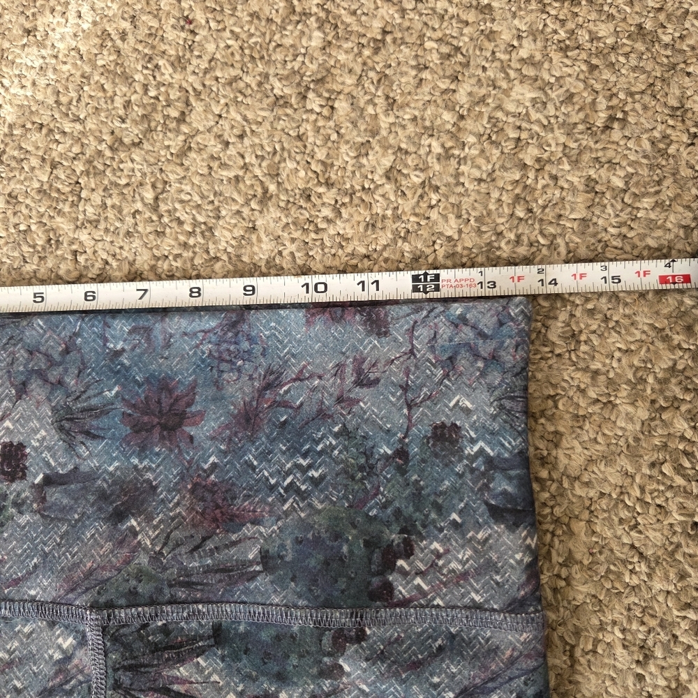 Evolution And Creation Cactus Succulent Sugar Sku… - image 8